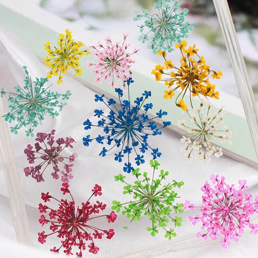 Dried Flower Bookmark - прессованные сушеные 20-25 мм Ammi Majus
