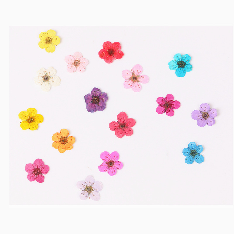 Dried Flower Bookmark - 60 шт., мини-фотообои с искусственным рисунком