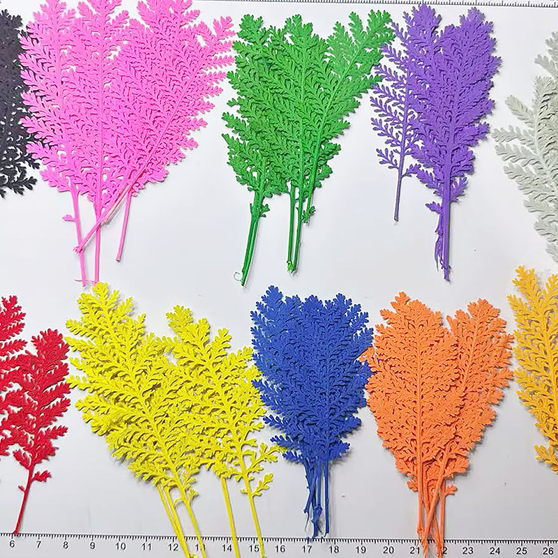 Dried Flower Bookmark - 100 шт. натуральных серебристых листьев, окрашенных