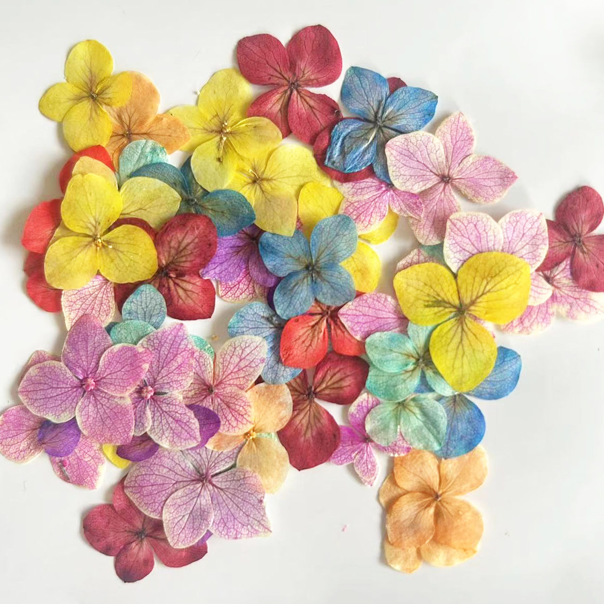 60 шт. цветов гортензии Анна,  – обзор и цена Dried Flower Bookmark