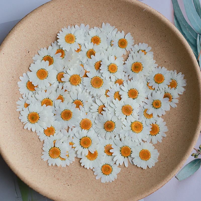 60X прессованная сушеная натур – обзор и цена Dried Flower Bookmark