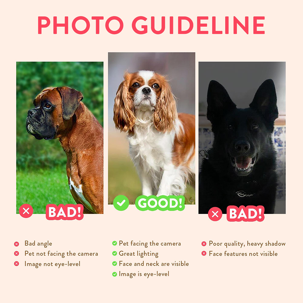 Персонализированные портреты п – обзор и цена Pet Portrait Custom