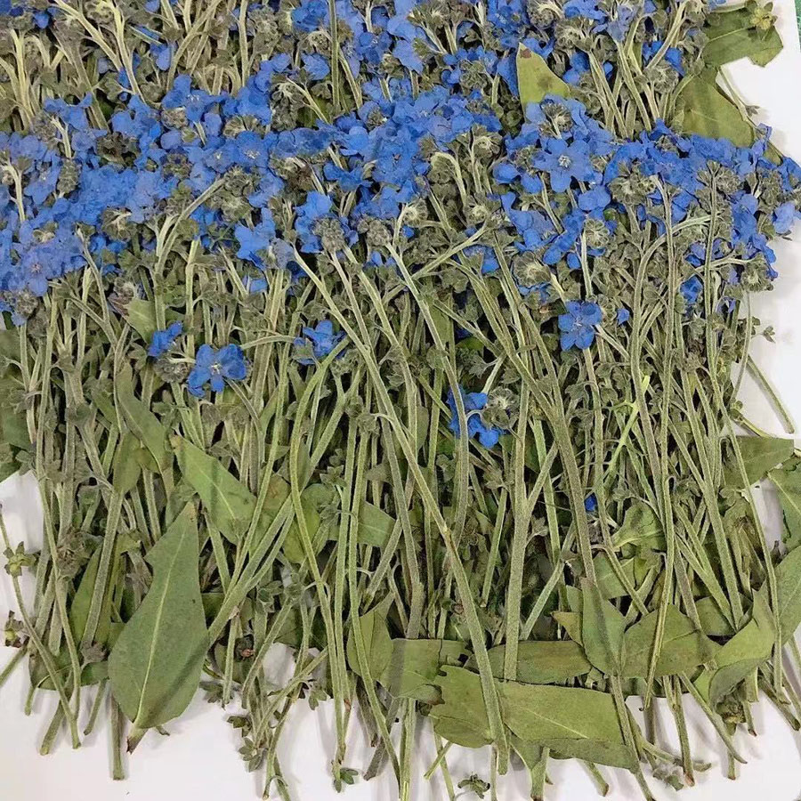 Натуральные прессованные сушен – обзор и цена Dried Flower Bookmark