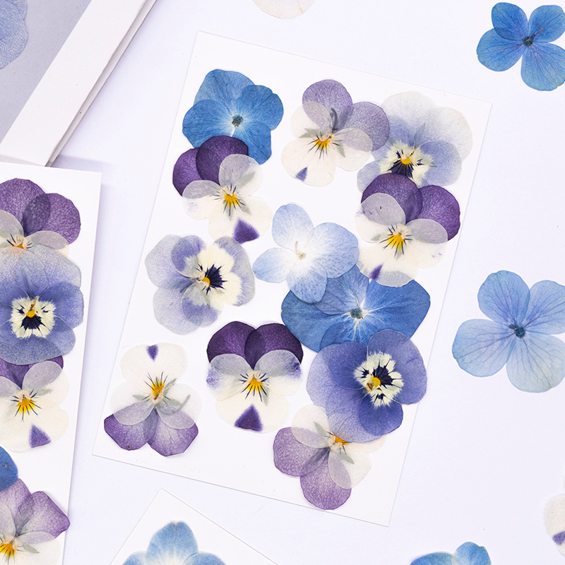 12 шт., Натуральные прессованн – обзор и цена Dried Flower Bookmark