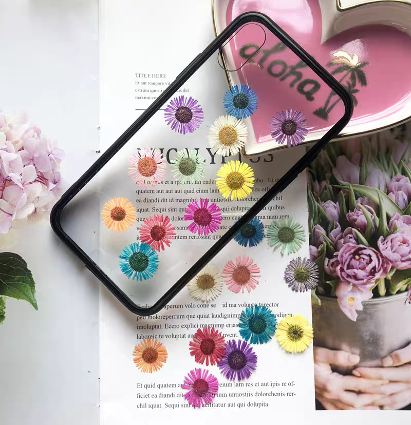 Набор прессованных сухоцветов  – обзор и цена Dried Flower Bookmark