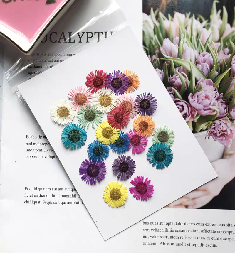 Набор прессованных сухоцветов  – обзор и цена Dried Flower Bookmark