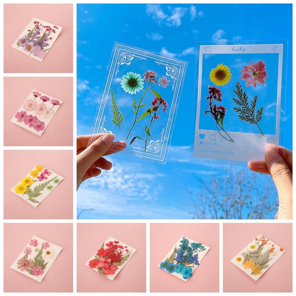 Материалы для DIY: закладки из – обзор и цена Dried Flower Bookmark