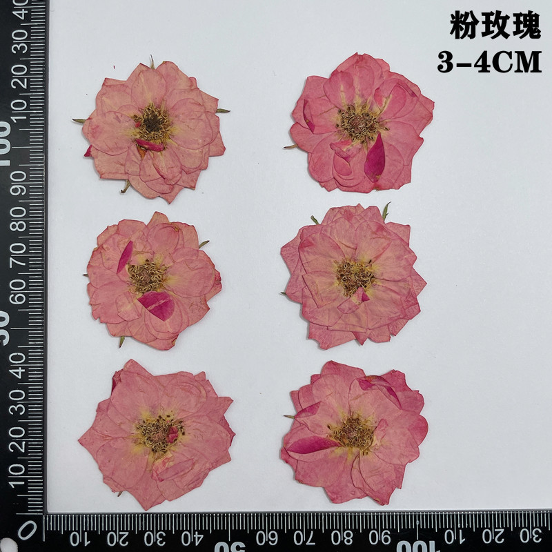 прессованные сушеные красные,  – обзор и цена Dried Flower Bookmark