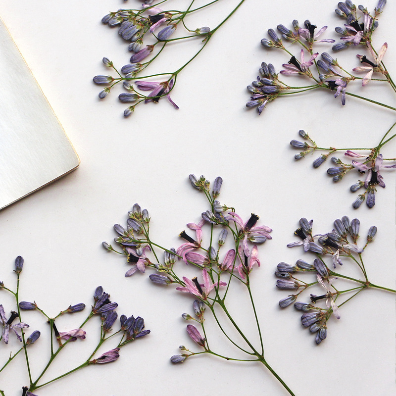 60 шт. сухих цветочных веток н – обзор и цена Dried Flower Bookmark