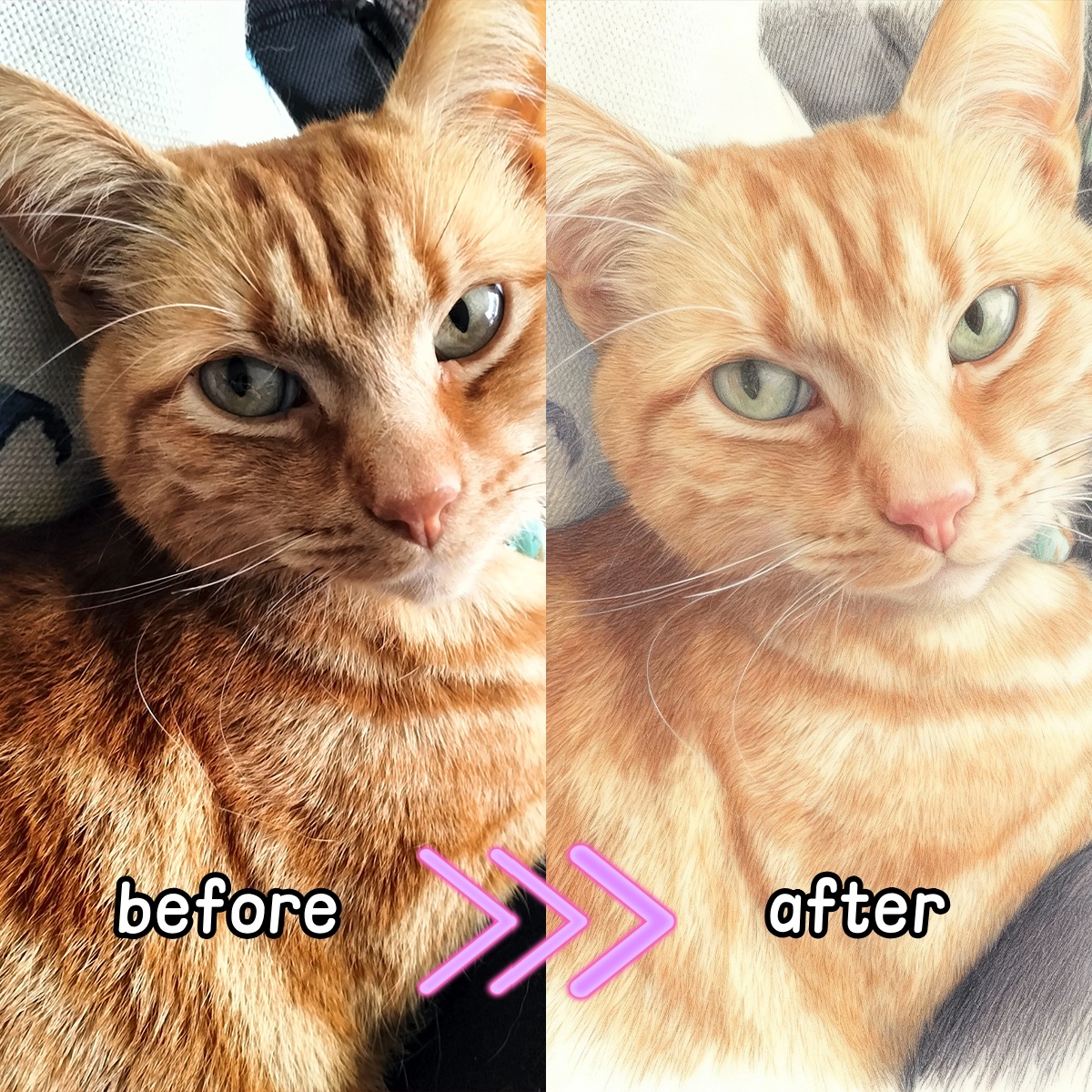 Персонализированный цветной ка – обзор и цена Pet Portrait Custom