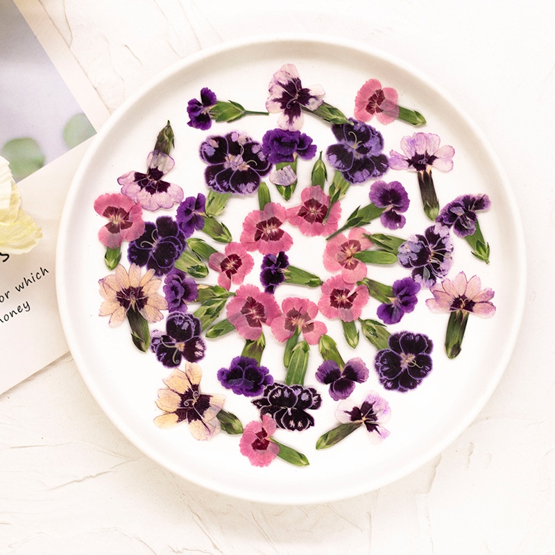 24 шт. прессованных сушеных цв – обзор и цена Dried Flower Bookmark