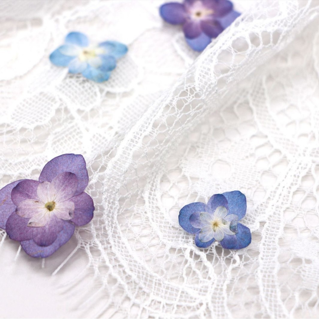 60 шт. миниатюрных двухцветных – обзор и цена Dried Flower Bookmark