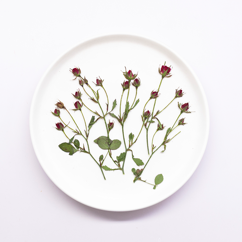 12 шт., сушеные розы, ветки с  – обзор и цена Dried Flower Bookmark
