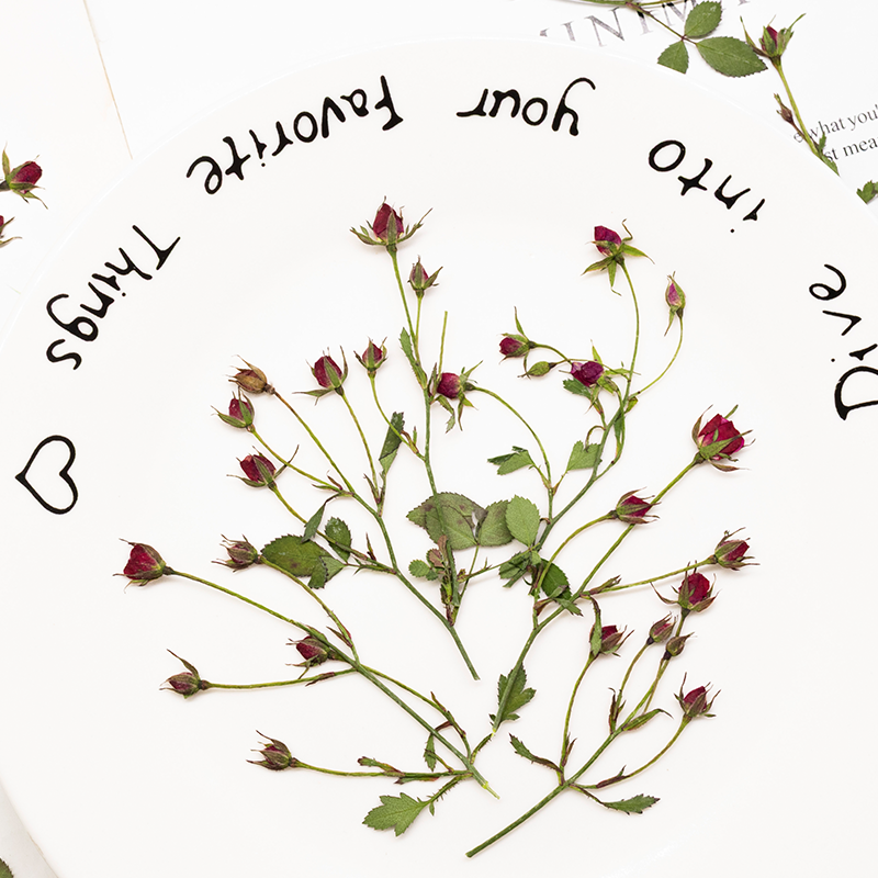 12 шт., сушеные розы, ветки с  – обзор и цена Dried Flower Bookmark