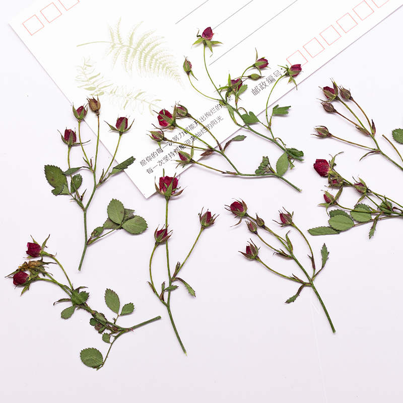 12 шт., сушеные розы, ветки с  – обзор и цена Dried Flower Bookmark
